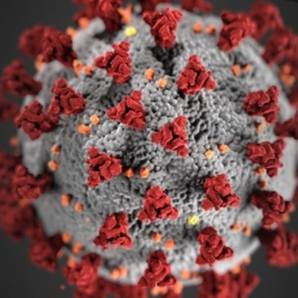 Our Response to COVID-19 - Picture 1 of 1